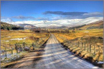 clova