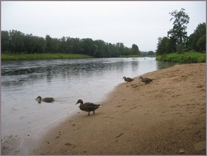 The River Spey at Granton on Spey
