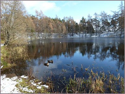 Loch Imrich Newtonmore